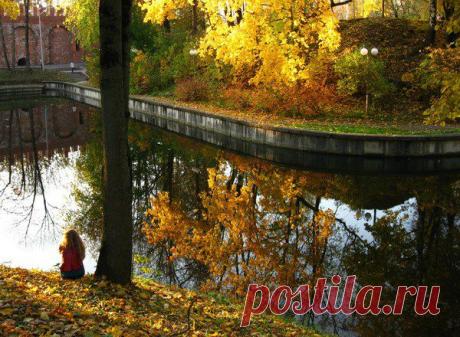 Избранное | Фотографии Елена Жёлтышева | 75 фото