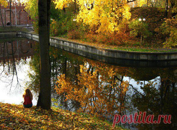 Избранное | Фотографии Елена Жёлтышева | 75 фото