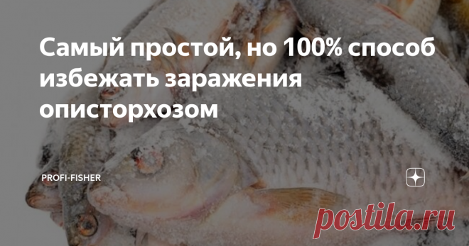 Самый простой, но 100% способ избежать заражения описторхозом Описторхоз - заболевание очень неприятное и сложно излечимое. На глаз определить заражена ли рыба опасными личинкам невозможно.
А потому единственный вариант обезопасить себя от заражения - это никогда и ни за что не употреблять в пищу речную рыбу.
Естественно, этот способ читателям и подписчикам канала, посвященного рыбалке, совершенно не подходит. К счастью, есть еще один способ, им и поделимся.