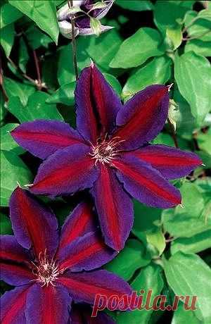 ✿*✿* ВЕРНИСАЖ *✿*✿
இڿڰۣ-ڰ Екатерина இڿڰۣ-ڰۣ