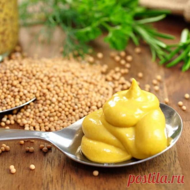 Ботаническое описание, химический состав и сорта горчицы. Полезные свойства и противопоказания продукта. Применение в косметологии, медицине и кулинарные рецепты.