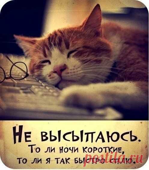 Как быстро пролетают выходные...