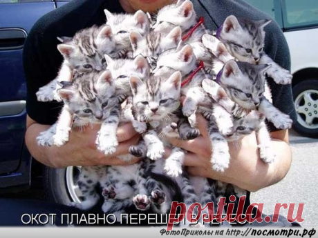 Новости