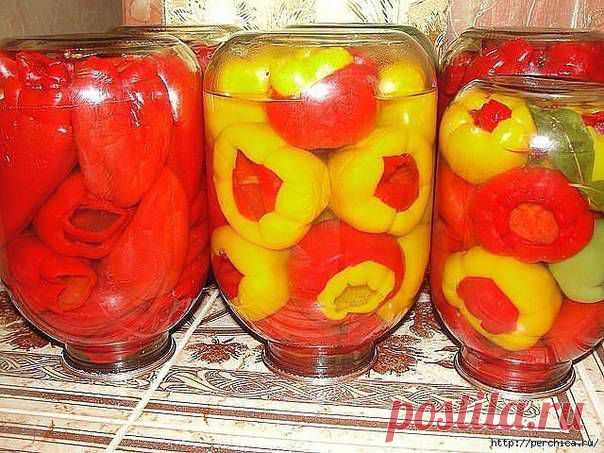 Болгарский перец
