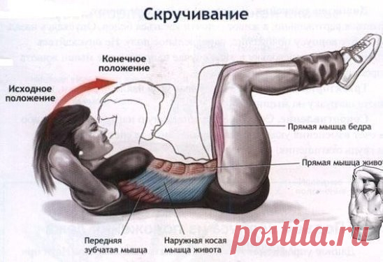 Качаем пресс
