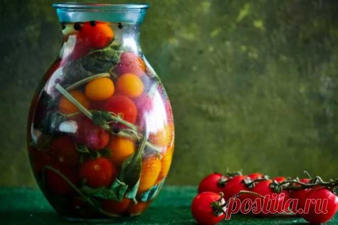 Помидоры с базиликом на зиму: 20 простых и быстрых рецептов