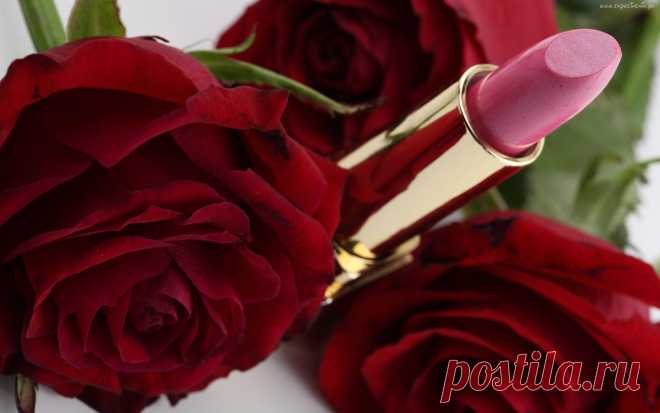 116943_czerwone_roze_pomadka.jpg (2560×1600)