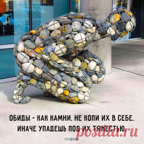 афоризмы