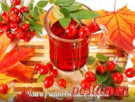 5 ВАРИАНТОВ ВКУСНЫХ И ПОЛЕЗНЫХ ЧАЙНЫХ НАПИТКОВ - Здоровое питание - Всё о здоровье - Каталог статей - Всё для жизни