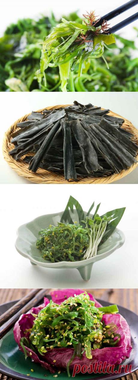 Водоросли: инструкция к применению, кулинарный портал «Едим дома!»