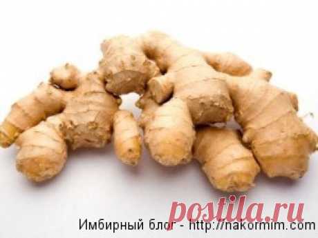 Мед, имбирь и куркума – лечебные свойства травяного чая | Имбирный блог