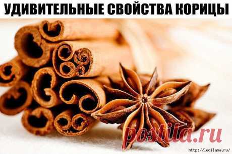 УДИВИТЕЛЬНЫЕ СВОЙСТВА КОРИЦЫ
