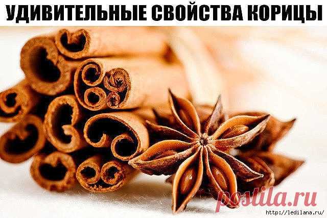 УДИВИТЕЛЬНЫЕ СВОЙСТВА КОРИЦЫ