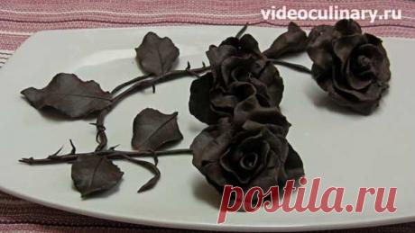 Украшение торта – Розы из Шоколада от videoculinary.ru
