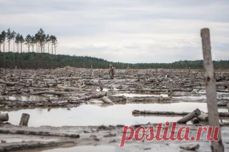 Несколько районов Центральной и Западной Украины вышли из подчинения Киева