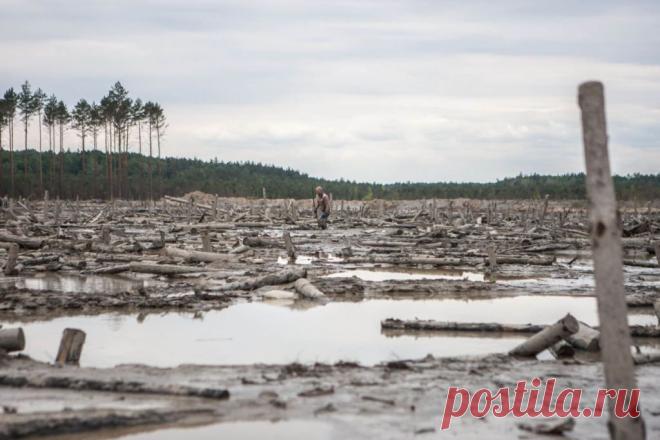 Несколько районов Центральной и Западной Украины вышли из подчинения Киева