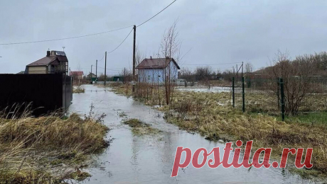 Россиян предупредили о сильном половодье во время таяния снегов. В центре европейской России ожидается сложное половодье. Об этом рассказал ТАСС научный руководитель Гидрометцентра России Роман Вильфанд. По его словам, такой прогноз - из-за превышения норм водности снега, а также почвы в бассейнах рек. ...
