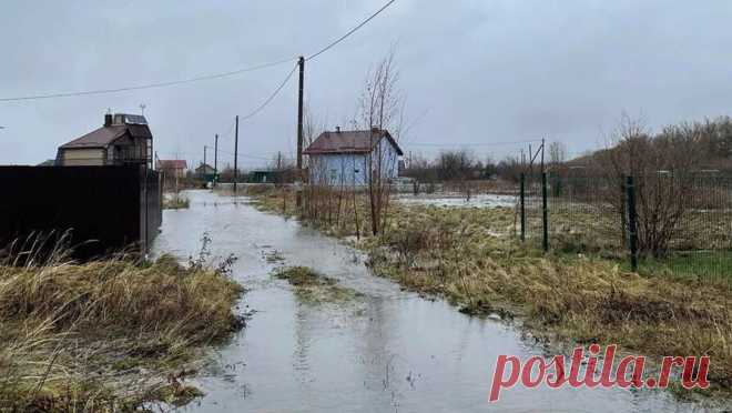 Россиян предупредили о сильном половодье во время таяния снегов. В центре европейской России ожидается сложное половодье. Об этом рассказал ТАСС научный руководитель Гидрометцентра России Роман Вильфанд. По его словам, такой прогноз - из-за превышения норм водности снега, а также почвы в бассейнах рек. ...