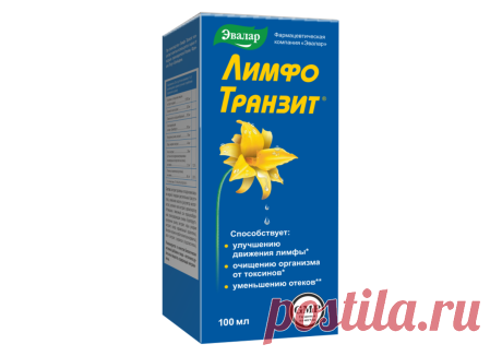 Чувствуете себя вяло? Расскажем, зачем разгонять лимфу | ФИТОДОКТОР ЭВАЛАР | Дзен