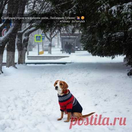С добрым утром и хорошим днём, Любимый Губкин! 🙋🥰