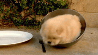 Популярное – Google+