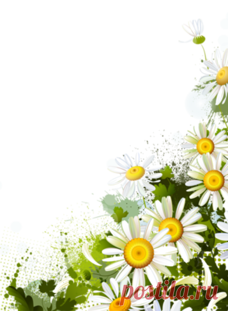 Клипарт картинки цветы PNG JPG