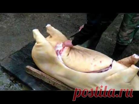 видео отзыв нож Егерь дамаск