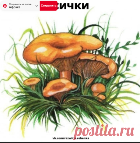 Образование и развитие детей "Дошкольник"