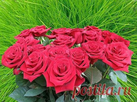 Красивые Цветы  Для Тебя