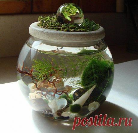 Миниатюрный аквариум как элемент декора ~ Planetalsad
