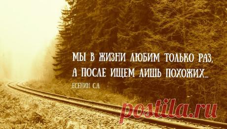 Одной фразой – Фитнес для мозга