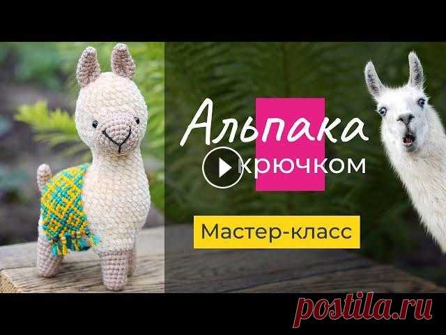Альпака Шарлотта [крючком]. Мастер-класс. 1 часть: вязание ножек, головы и туловища. Описание вязания альпаки Шарлотты с пошаговыми фото и схемой здесь: 1 часть видео мастер-класса по вязанию альпаки (ламы) Шарлотты посвящена самому сл...