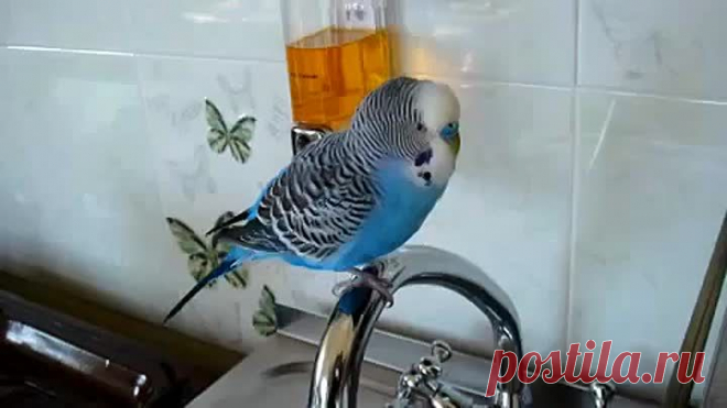 * * * * * * * * * * * *