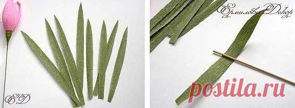 Делаем тюльпаны