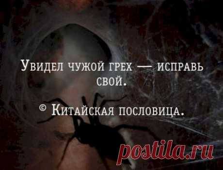Случайно в руки попал телефон супруги. Полюбопытствовал в телефонной книге. Смотрю: "Любимый". Позвонил. Отвечает сонный голос. Спрашиваю: — Вы кто? — Аристарх Израилевич Любимый, дамский парикмахер. Задолбали уже! - Выпуск №2971