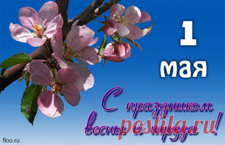 pic (600×388)