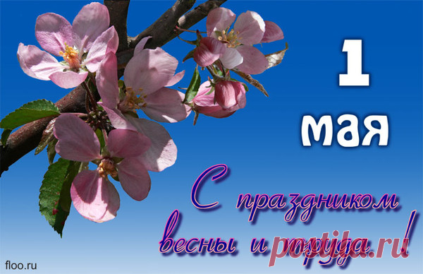 pic (600×388)