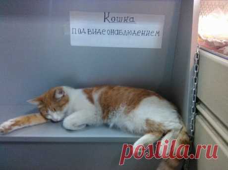 Самое ценное в магазине :)