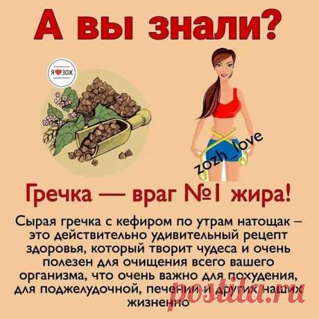 Гречка полезна для очищения всего организма