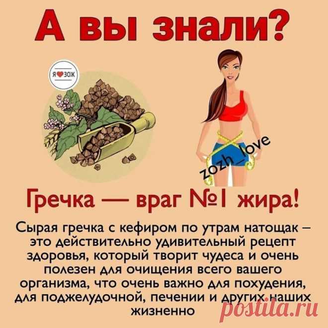 Гречка полезна для очищения всего организма