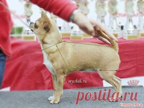 Комбинезончик для чишки (небольшой МК) - Вязание - Страна Мам