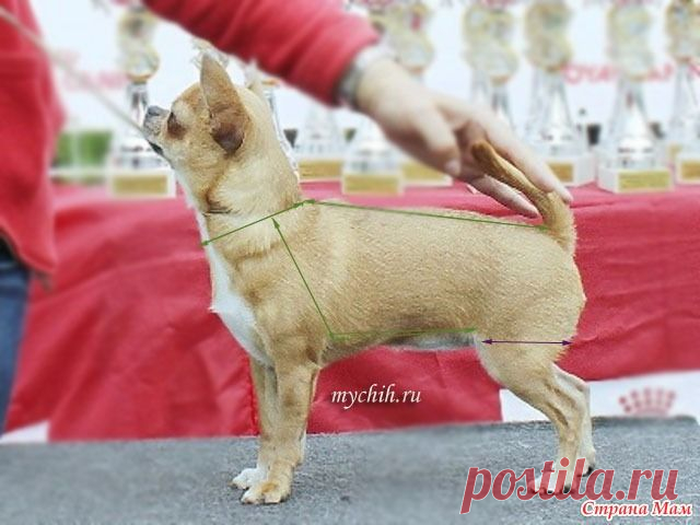 Комбинезончик для чишки (небольшой МК) - Вязание - Страна Мам