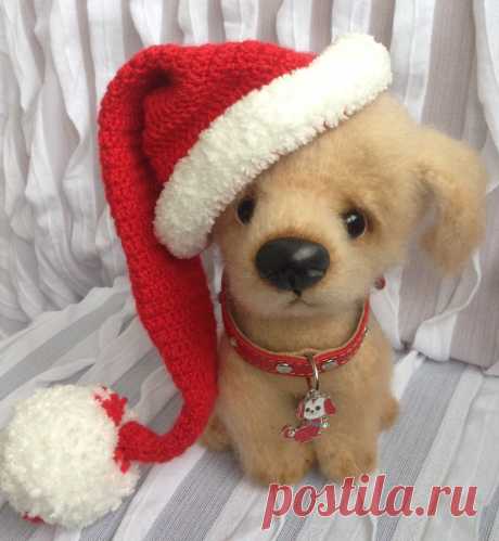IMG_1051.JPG Скромняшька -Тобик !Связан поМК Юлечьки Оголь !!!!!!!!!!!!!