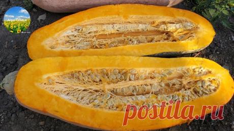 Розовый  банан ещё не пробовала!