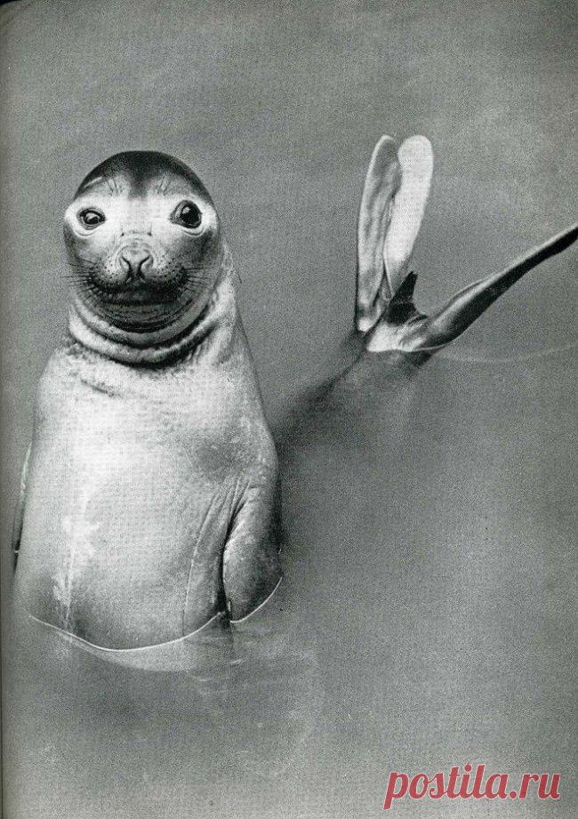 20 исторических фотографий, пойманных в нужный момент