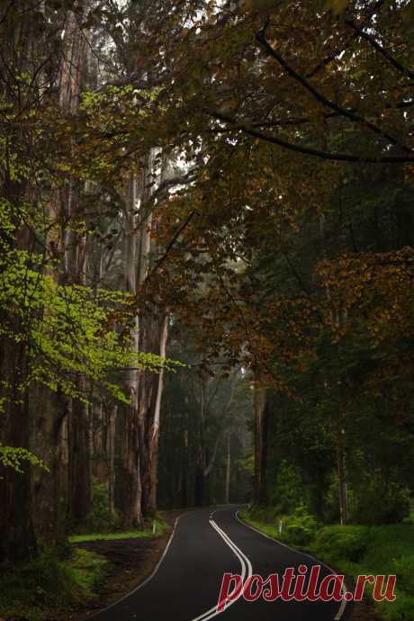 hullocolin:
“ Sherbrooke Road
Jaccob McKay | Instagram | Tumblr | Facebook
”