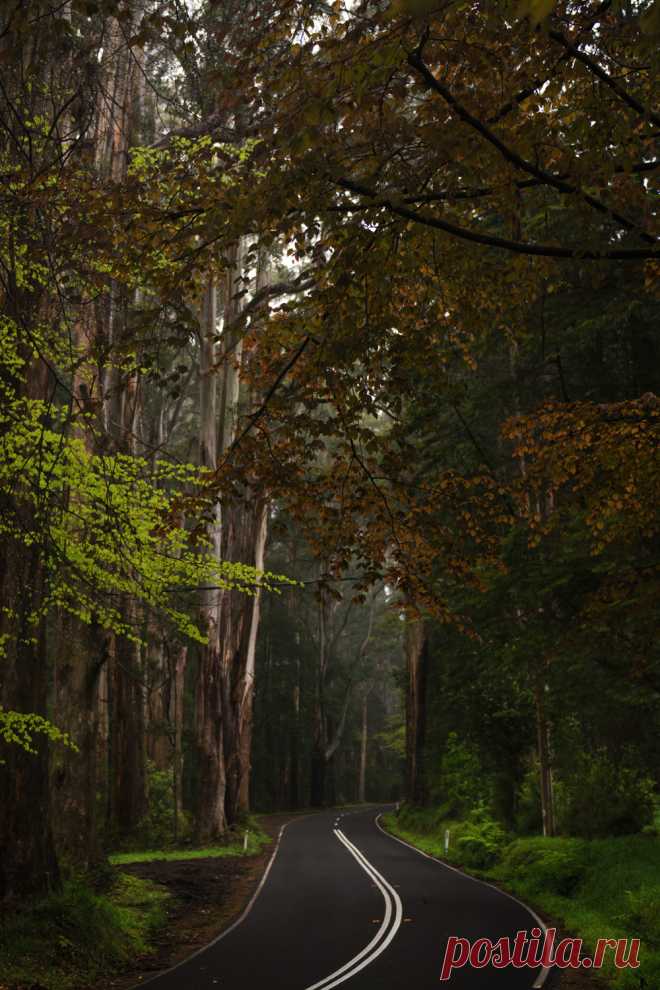 hullocolin:
“ Sherbrooke Road
Jaccob McKay | Instagram | Tumblr | Facebook
”