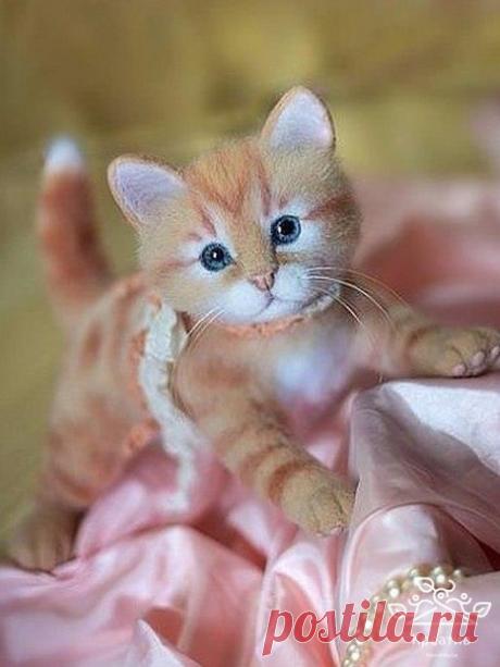 Войлочные котики. Как настоящие!