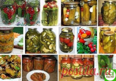 15 СУПЕР РЕЦЕПТОВ ОГУРЦОВ .
Сохрaни, чтобы не потерять!
1. Консервировaнные огурцы с крaсной смородиной
Показать полностью…