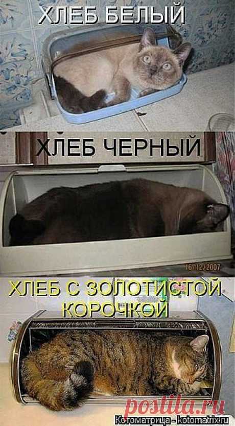 )))